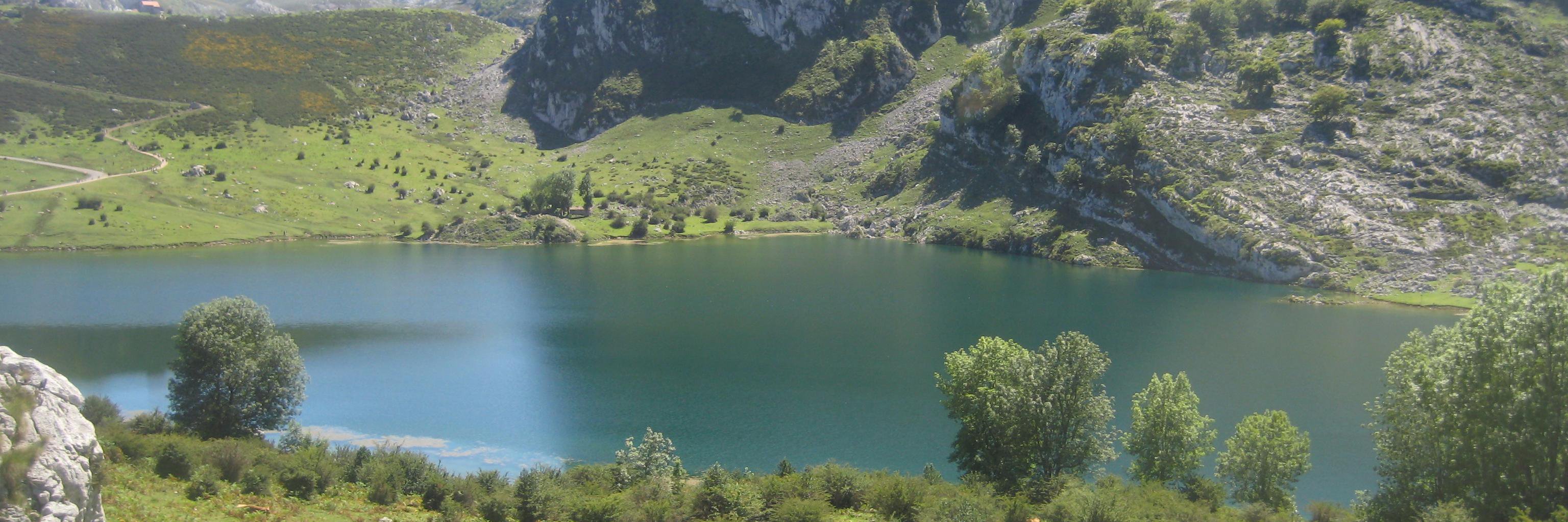 Auxi Domínguez banner