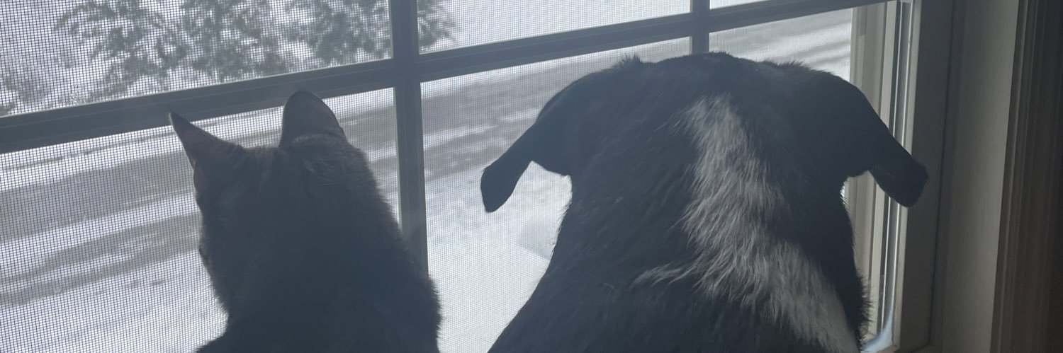 Rowdy_Sowdy's profile banner image