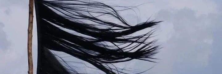 cecelightworker's profile banner image