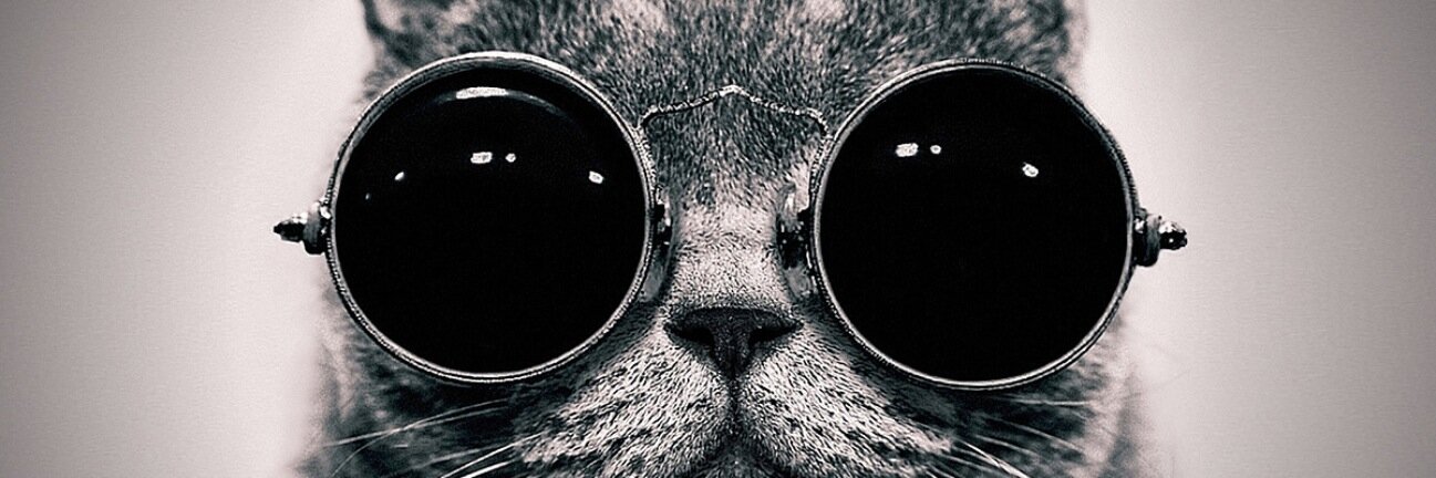 Maxime Samain banner