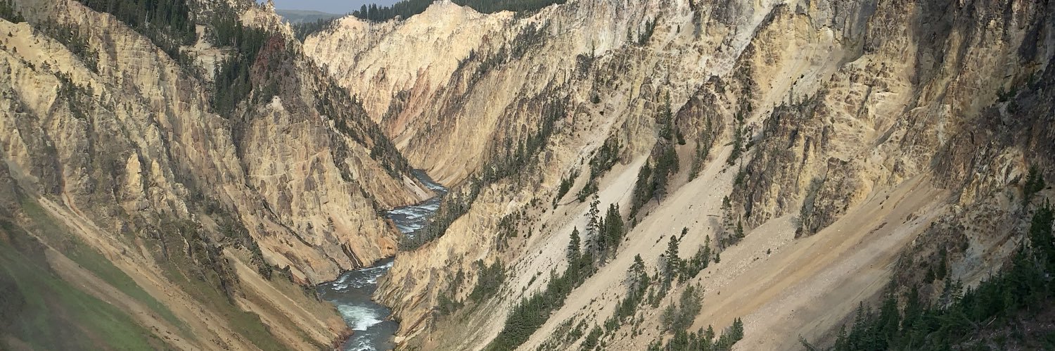 Jackson Lewis banner