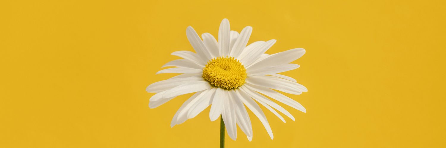 LifeisaWarr's profile banner image