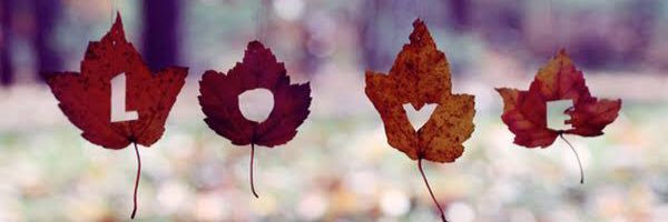beatrizleal55's profile banner image