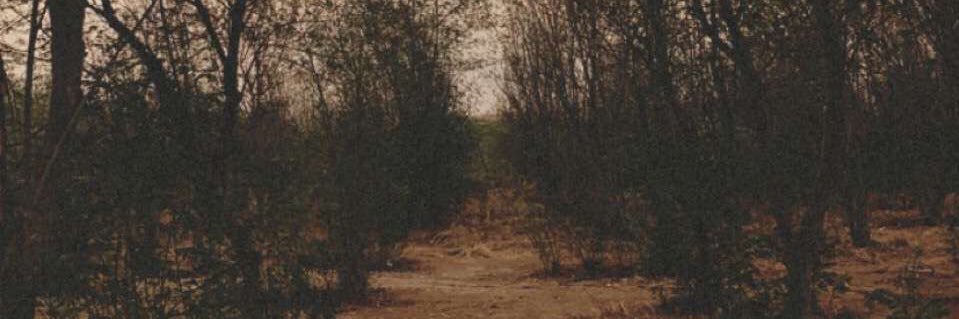 Baroki99's profile banner image