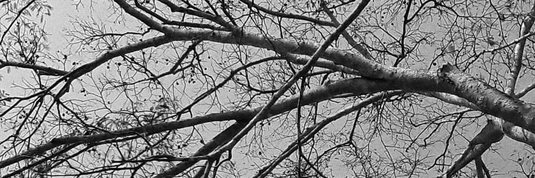 Mayronmaino's profile banner image