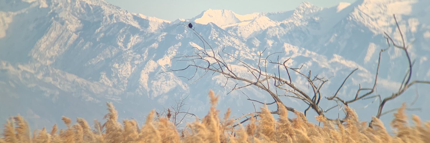 rooost0r's profile banner image