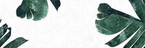 gemma_mccammon's profile banner image