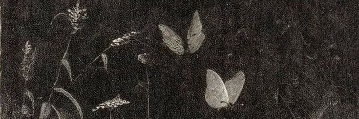 𝒳 banner