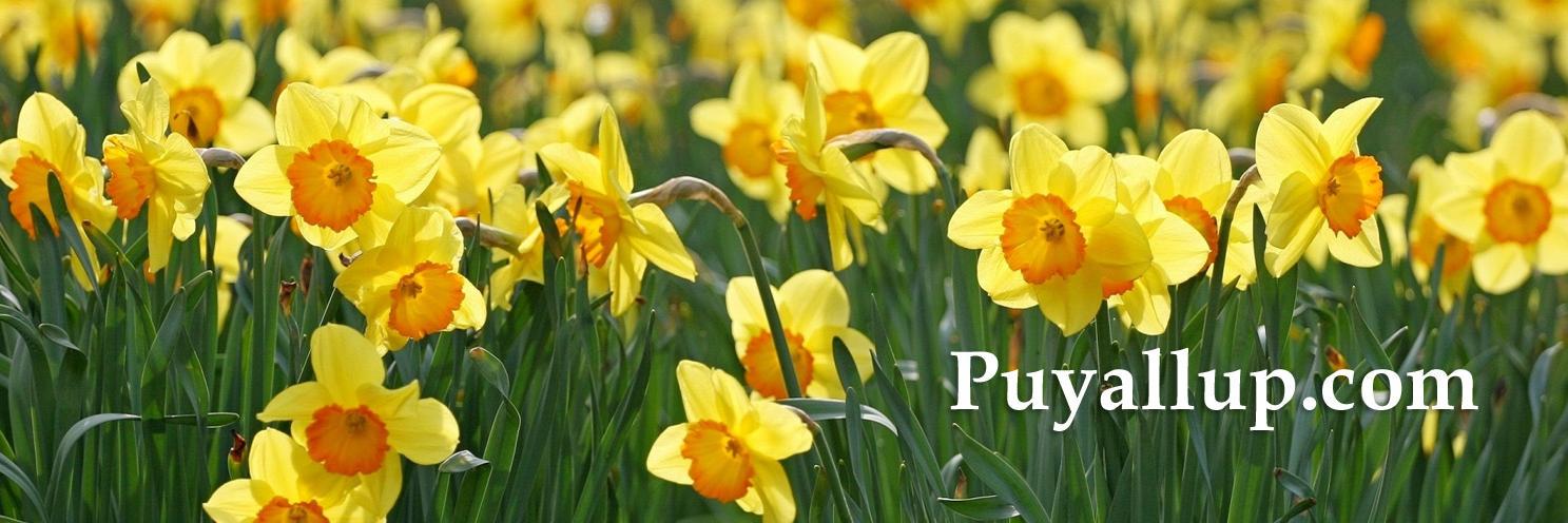City of Puyallup banner