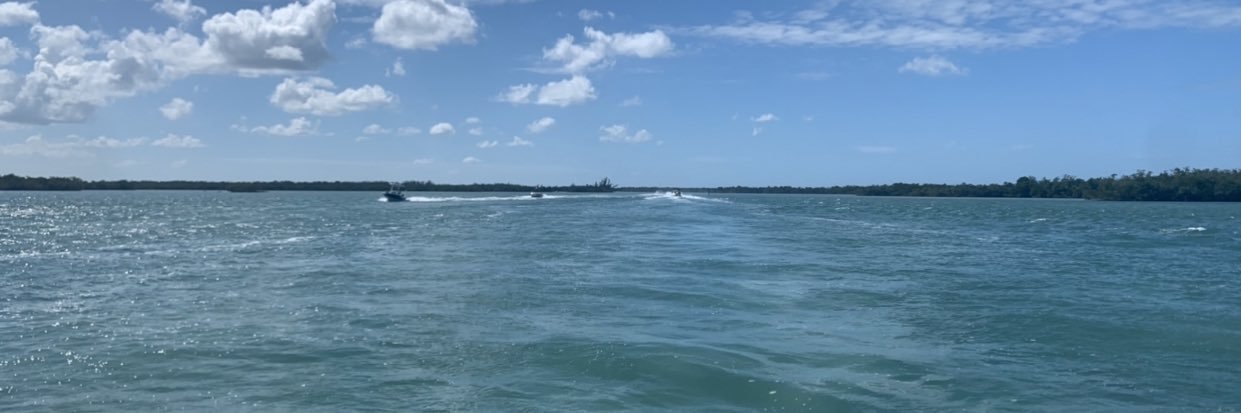 avery bierowski banner