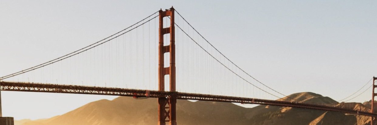 Dan banner
