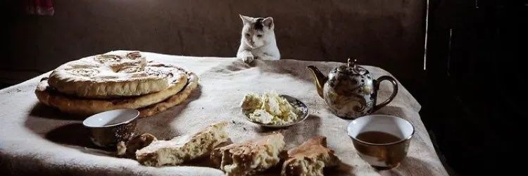 Nigel H. 🇵🇸 banner