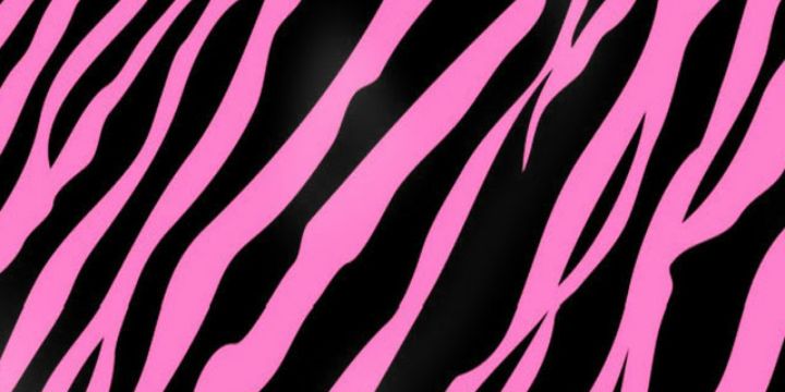 claudiarssm's profile banner image