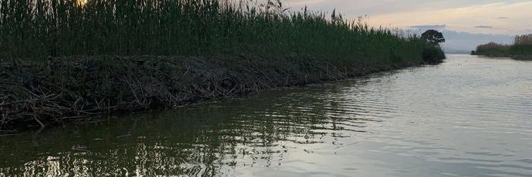 LAdanez's profile banner image