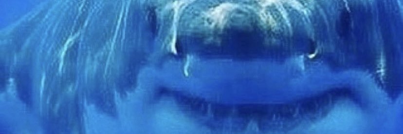 m banner