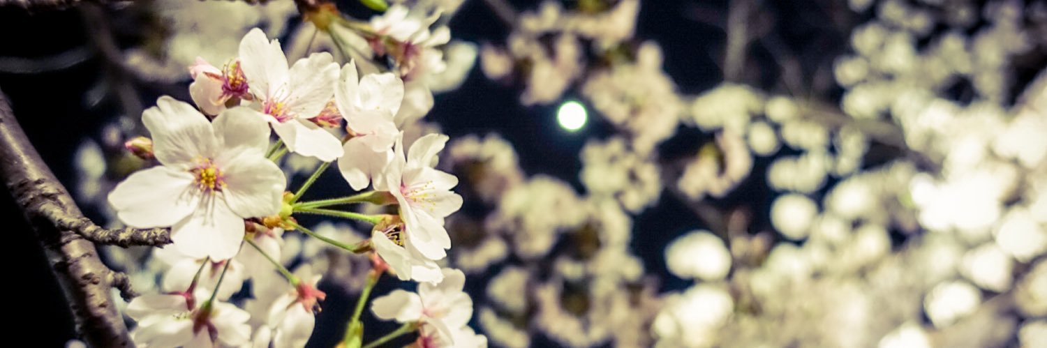 バジル@しるばー banner