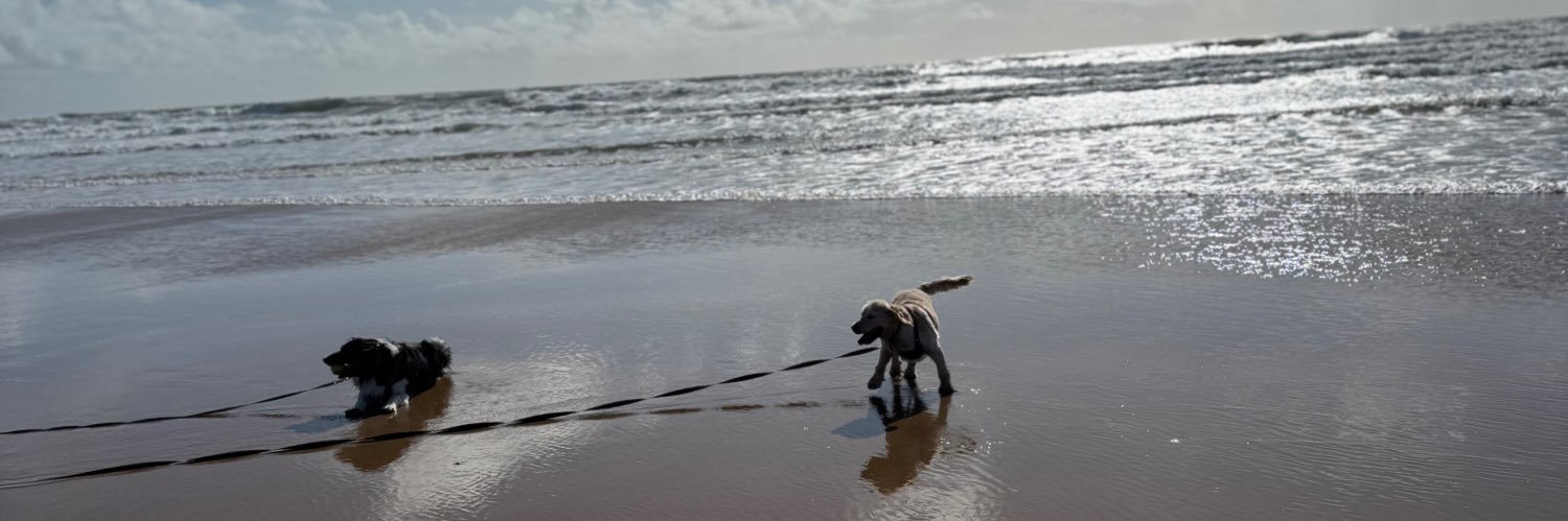 Jamie Clode-Jones banner