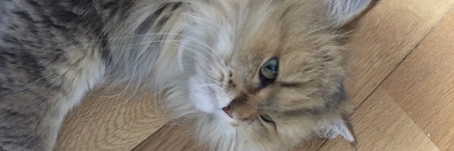 ゼレックス⊿ banner