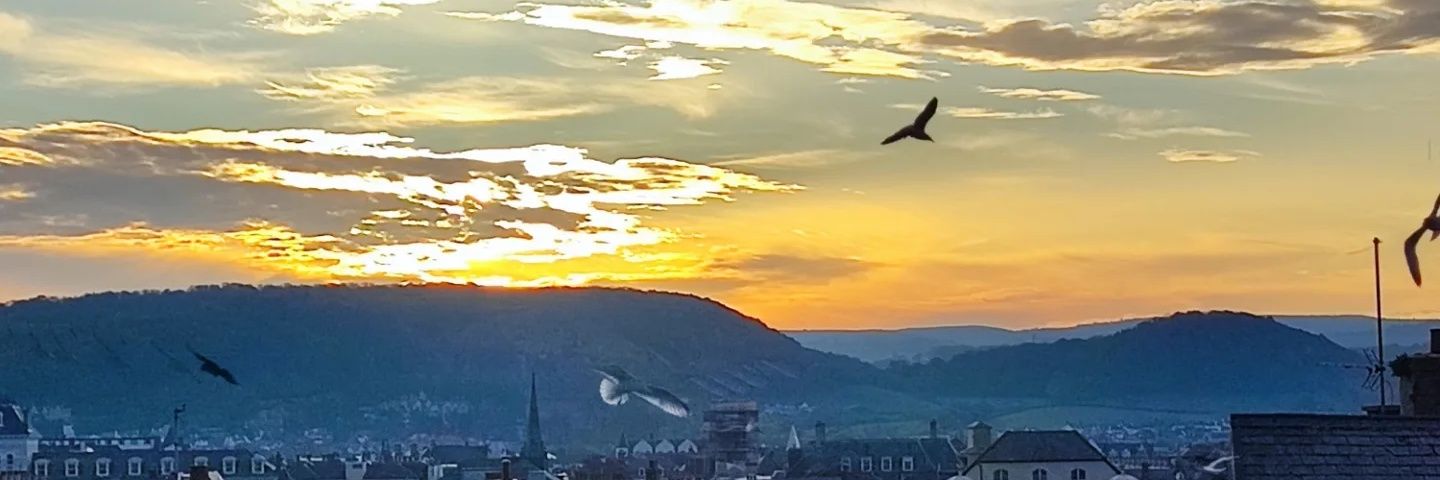 JanMcCartney's profile banner image