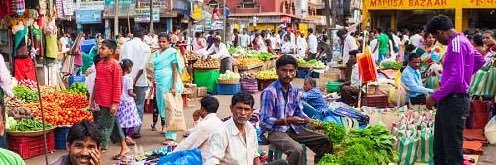 David Alameda banner