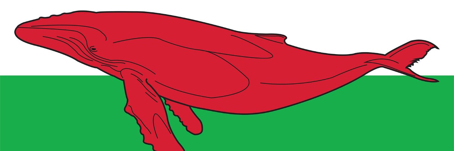 mullen_morris's profile banner image
