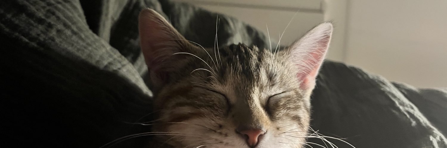 chloehrt1's profile banner image