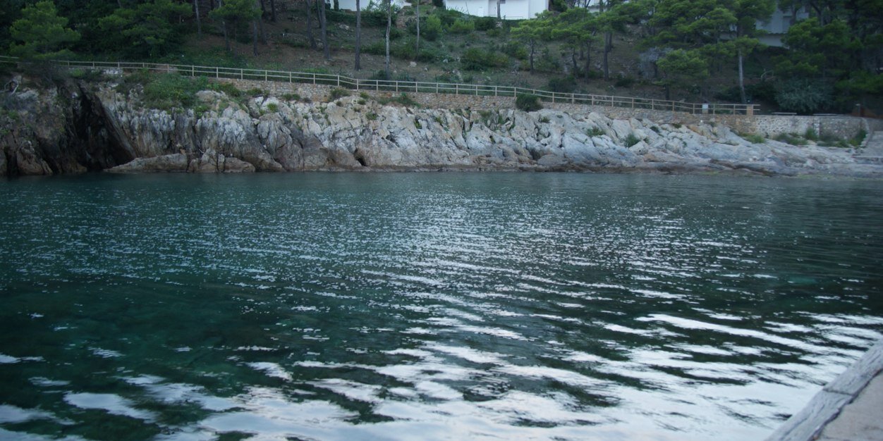 LSerramitjana's profile banner image