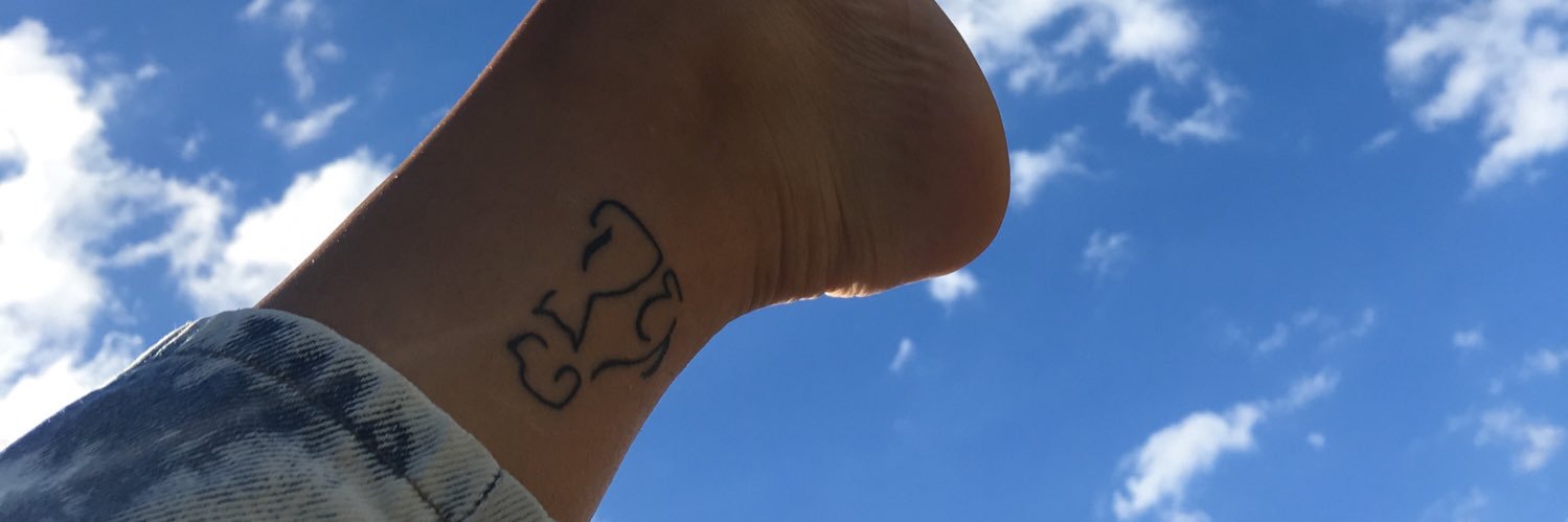 esteficettour's profile banner image