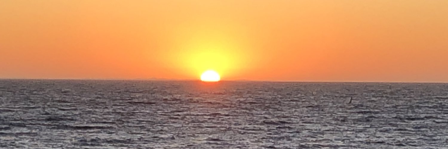 Decem banner