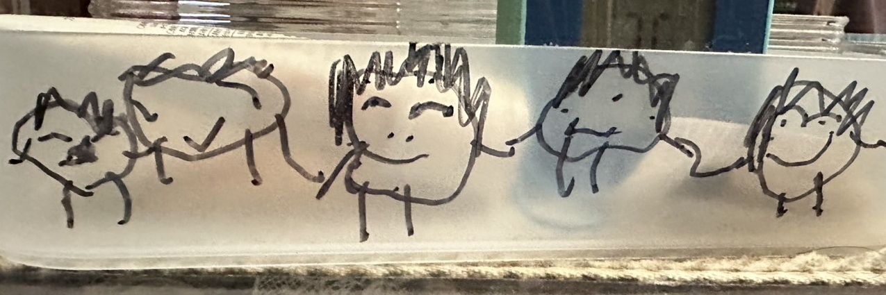 akito_scl's profile banner image