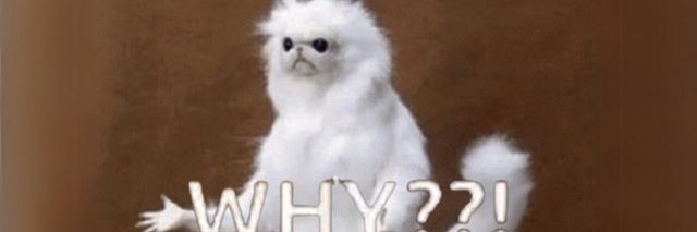 WhyCatEth_CTO banner