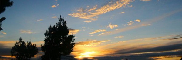 seninxkamis Profile Banner