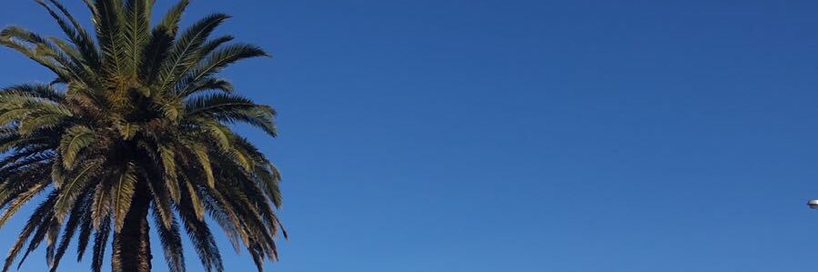 JJozica's profile banner image