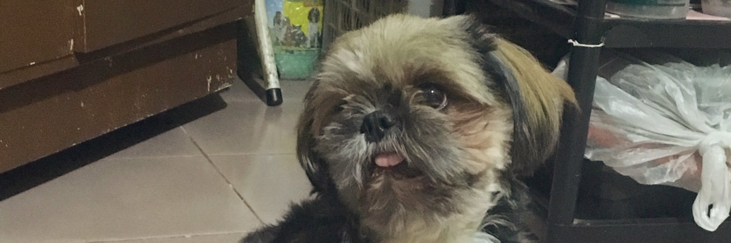 manueldrnh's profile banner image