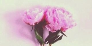 rooby1410sh's profile banner image