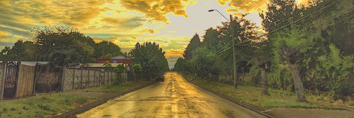 cinzunzas's profile banner image