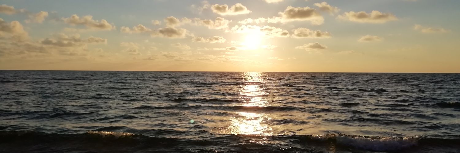 simonabrunitto's profile banner image