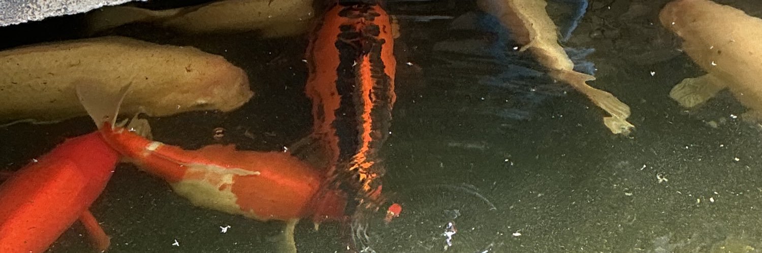 sovanwwab's profile banner image