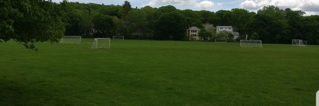 NewtonFields's profile banner image