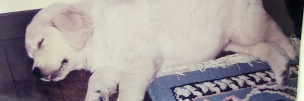 LuckyRetriever Profile Banner