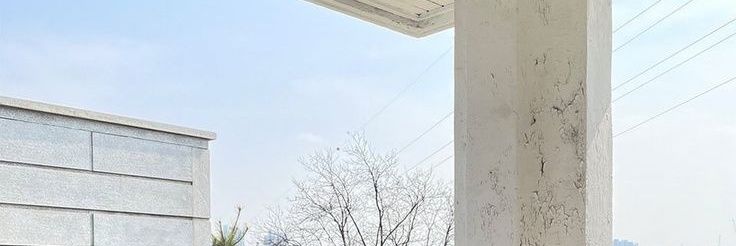 lily banner