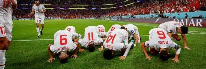 Alinae Alizin banner