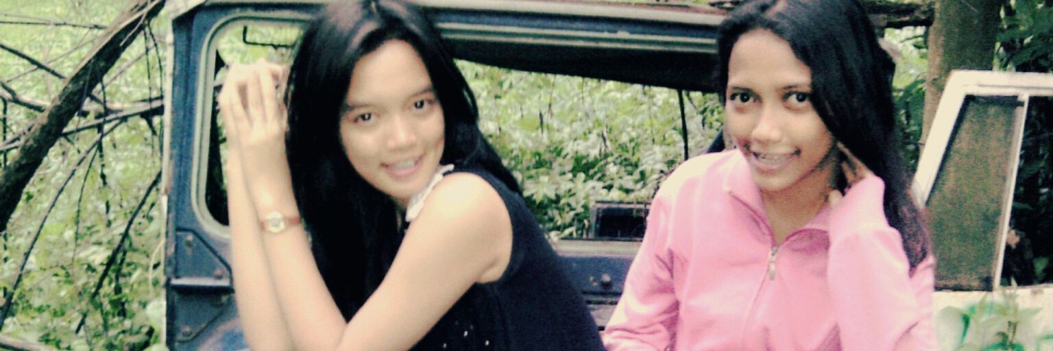 dhewinensih's profile banner image