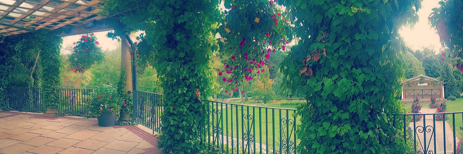 VCx3's profile banner image