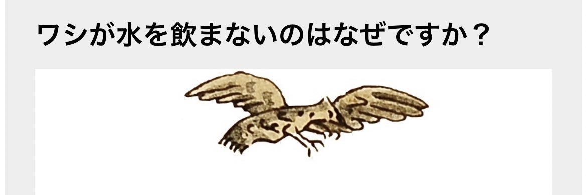 tigerofthickbye's profile banner image