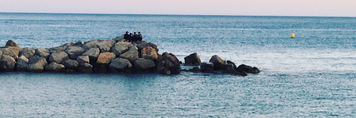 amaraltata's profile banner image