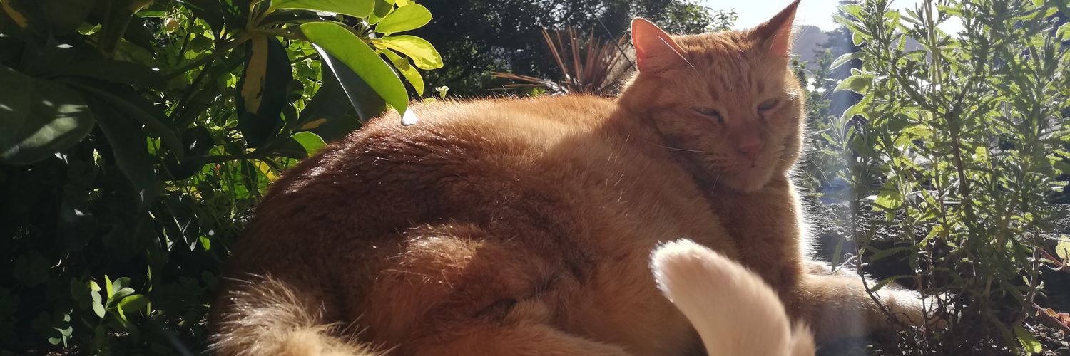 lafranpero's profile banner image