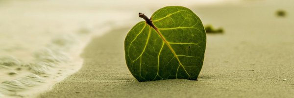 Ant9493 Profile Banner