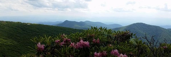 Renee_Hopkins Profile Banner