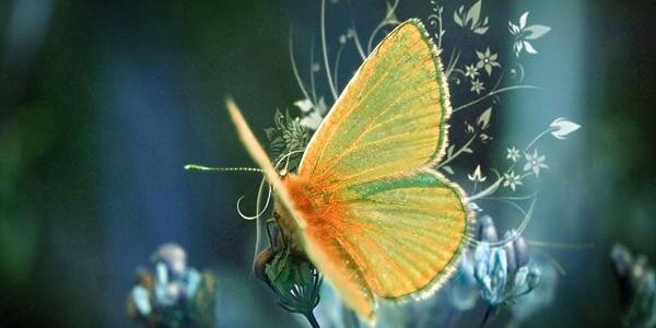 _puncoder's profile banner image